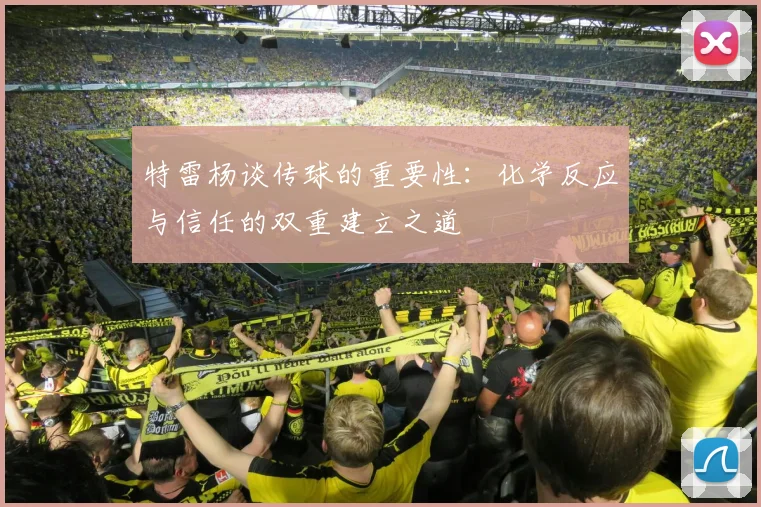 特雷杨谈传球的重要性：化学反应与信任的双重建立之道
