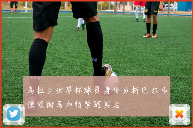 乌拉圭世界杯球员身价分析巴尔韦德领衔乌加特紧随其后