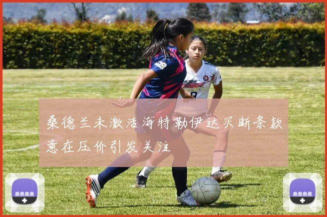 桑德兰未激活海特勒伊达买断条款意在压价引发关注